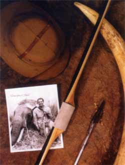 Image of a Photo of Howard Hill next to an elephant shot in Africa. Next to the photo is the elephants tusk, the arrow used to shoot it, Howard's hat, and a longbow.